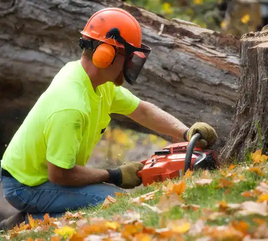 tree services Kenyon